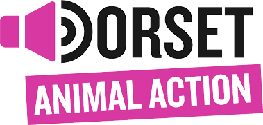 Dorset Animal Action